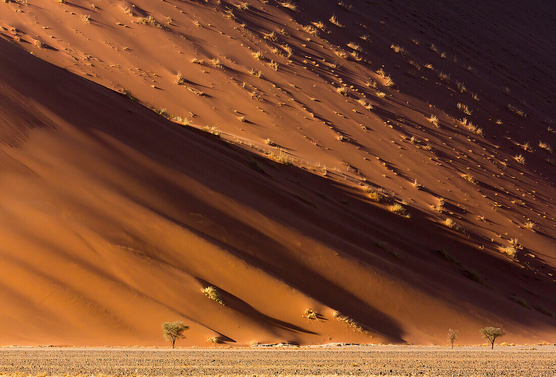 Afrika, Namibia, Namib-Naukluft-Park. Wüstensanddüne bei Sonnenuntergang