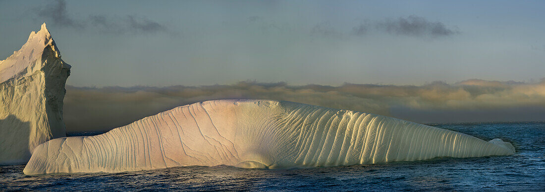 Antarctica, South Georgia Island, Coopers Bay. Iceberg shaped like elephant seal at sunrise