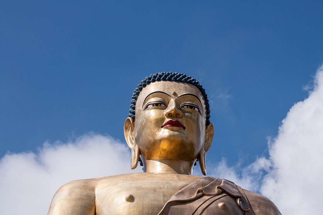 Bhutan, Thimphu. Kuensel Phodrang, aka Buddha Point, largest Buddha statue in the country. Statue detail.