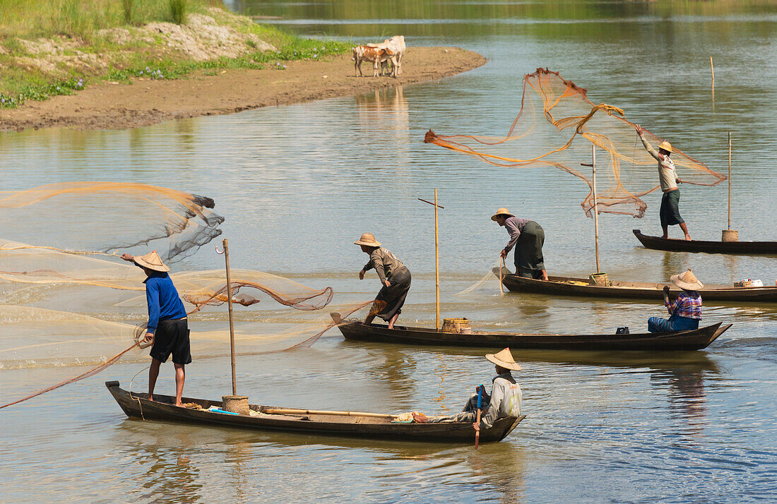 Fishermen fishing on the river, Bago, Bago Region, Myanmar