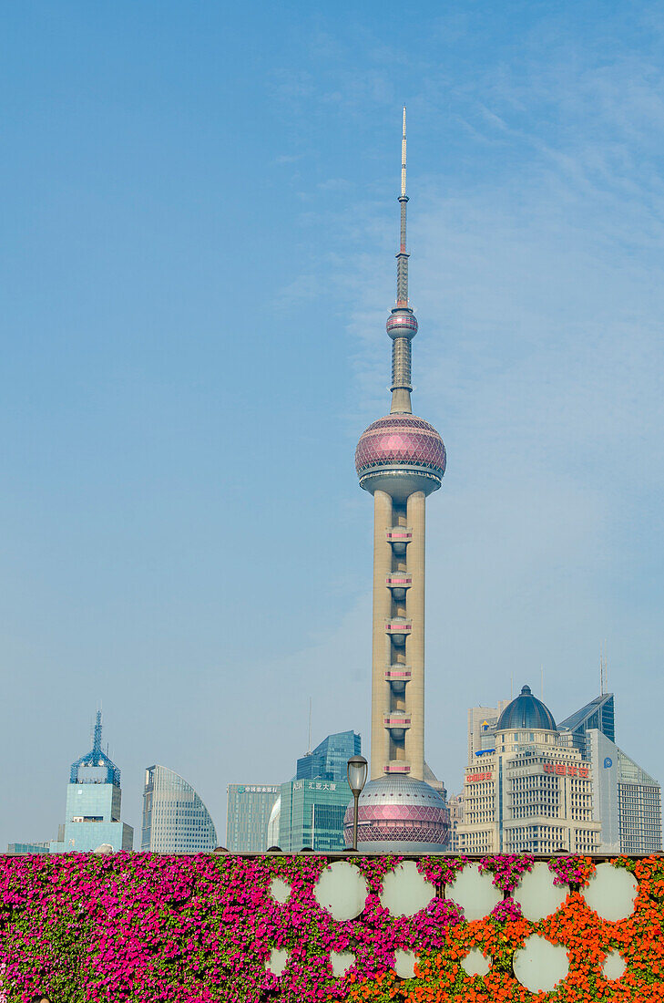 The Bund gardens with Pearl Tower over Pudong district skyline Shanghai, China.