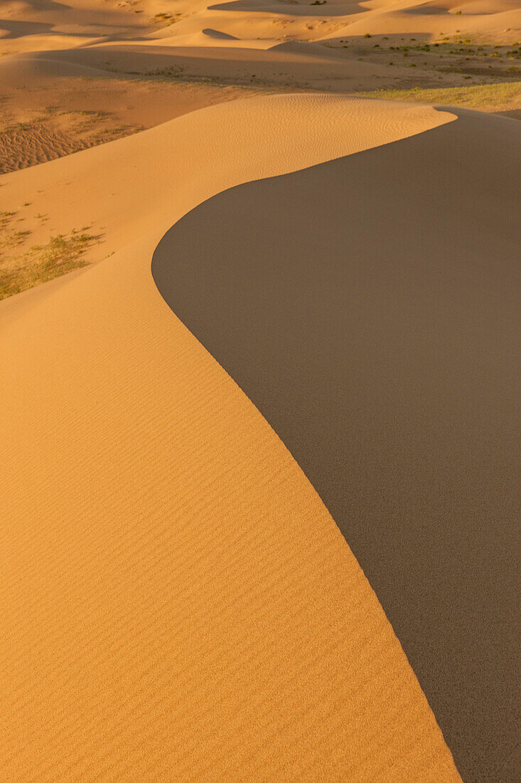 Sand Dunes at sunrise. Gobi desert. Mongolia.