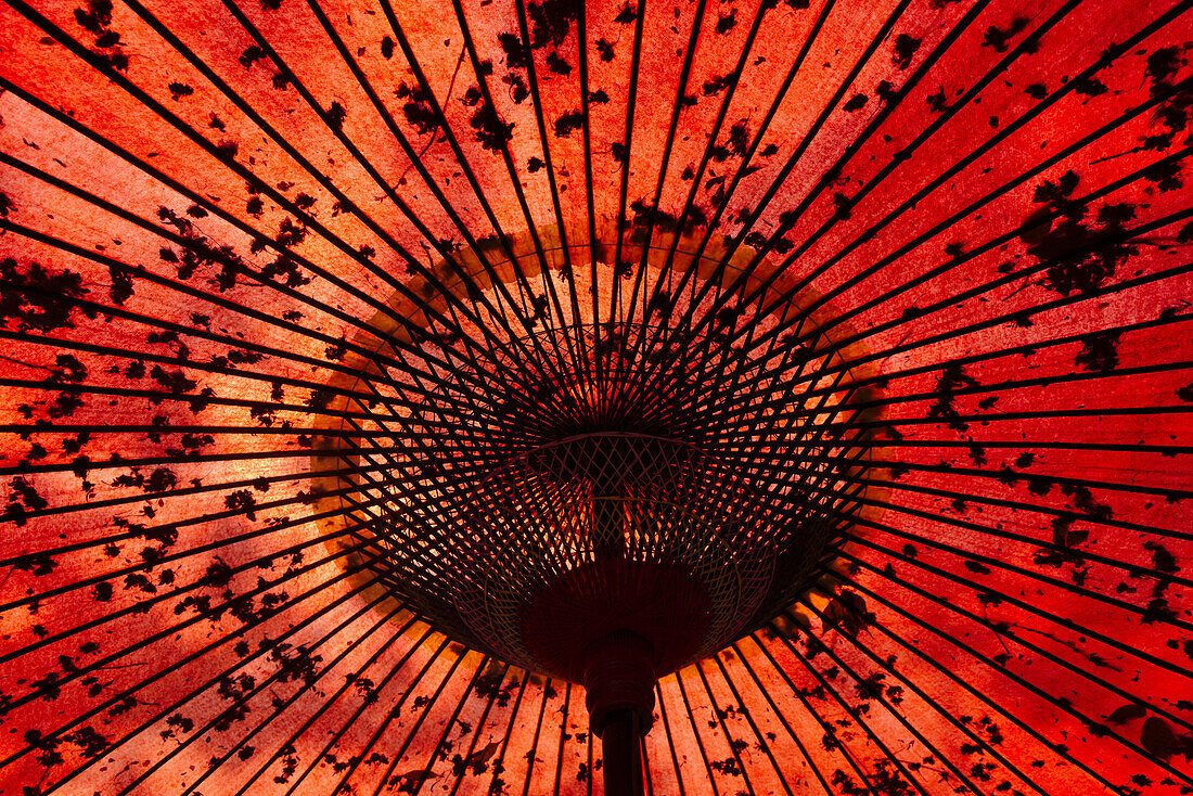 Roter Regenschirm, Taiwan