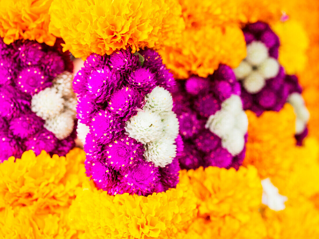 Thailand, Bangkok Street Flower Market. Flowers ready for display