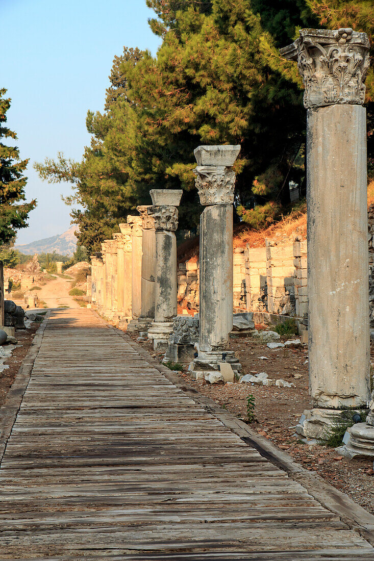 Turkey, Izmir Province, Selcuk, ancient city Ephesus, ancient world center of travel and commerce on the Aegean Sea at mouth of Cayster River. Columned Harbor Street near the Agora.
