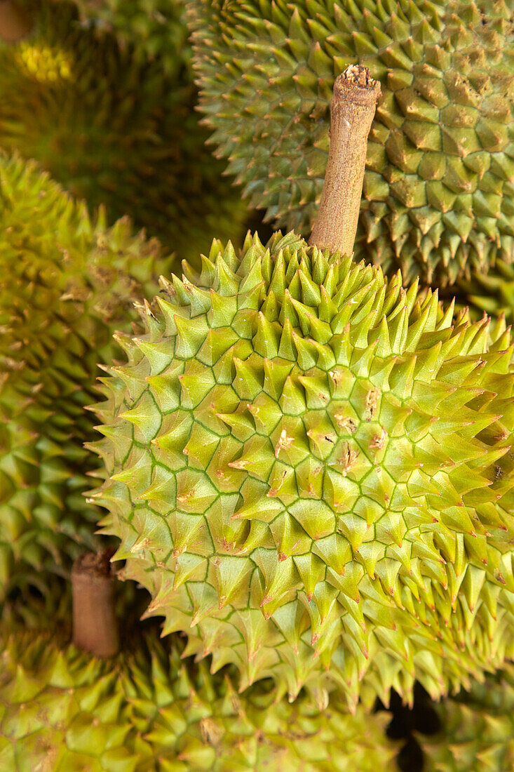 Durianfrüchte, Can Duoc-Markt, Provinz Long An, Mekong-Delta, Vietnam