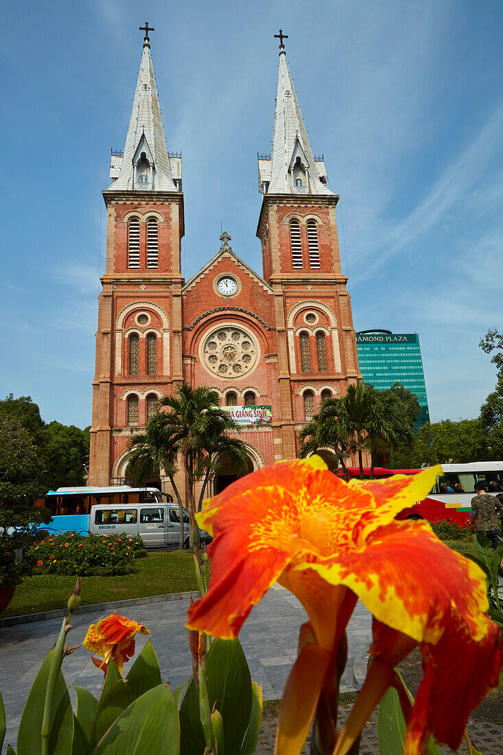 Blume und Notre-Dame-Kathedrale von Saigon, Ho-Chi-Minh-Stadt (Saigon), Vietnam