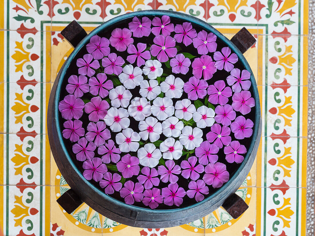 Asia, Vietnam, Mui Ne. Pink and white flowers floating on water in a large pot.