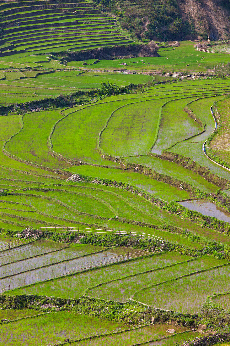 Vietnam, Muong, Blick von oben auf Reisfelder