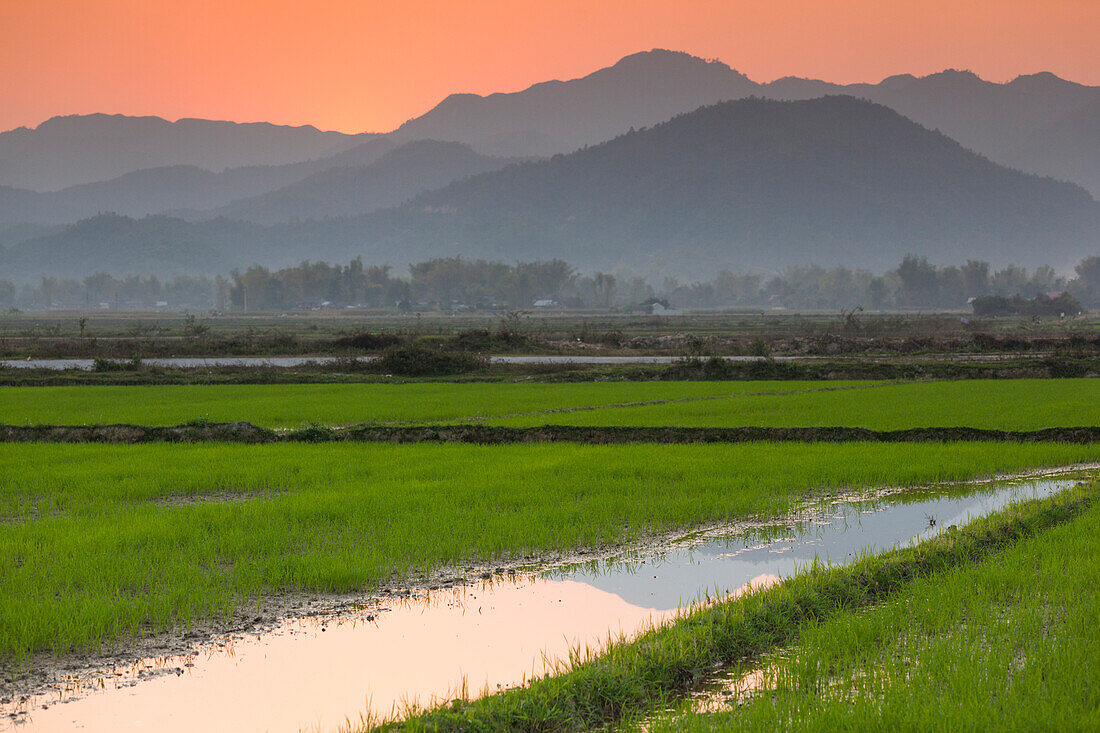 Vietnam, Dien Bien Phu. Reisfelder bei Sonnenuntergang