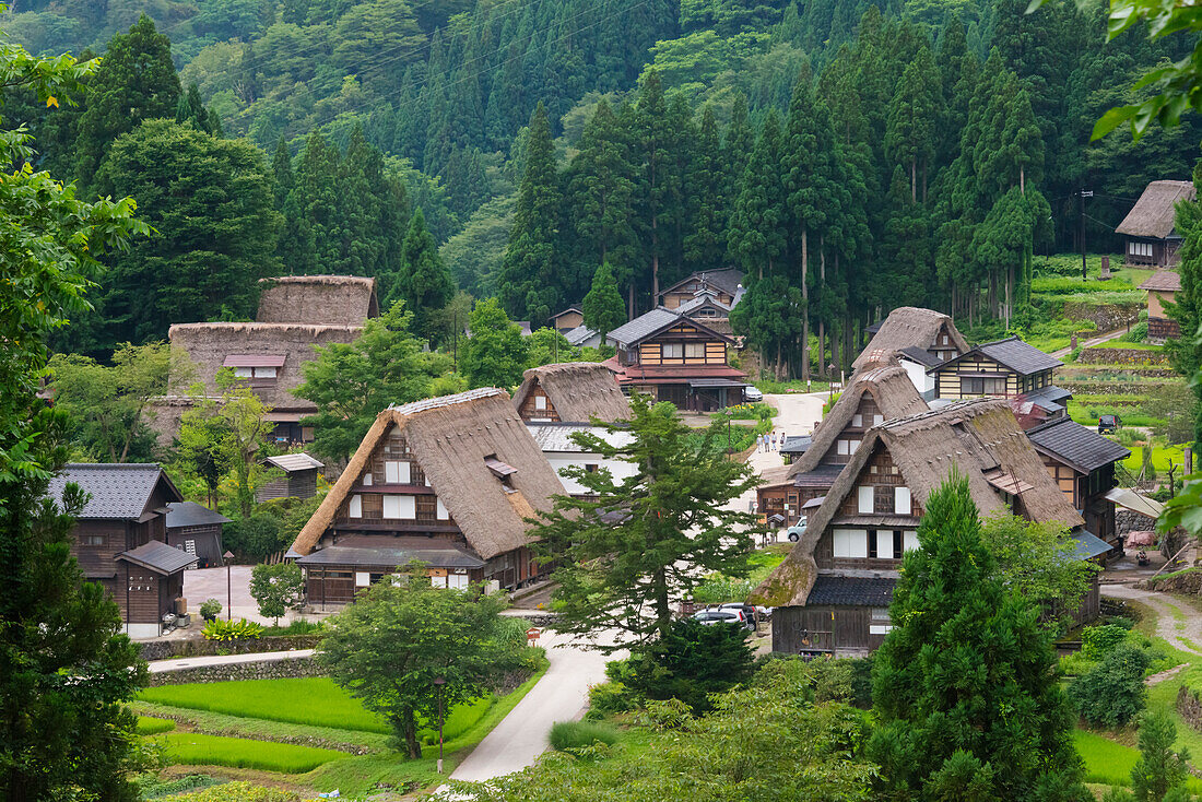 Gassho-zukuri-Häuser in den Bergen, Dorf Ainokura, Gokayama, Präfektur Toyama, Japan