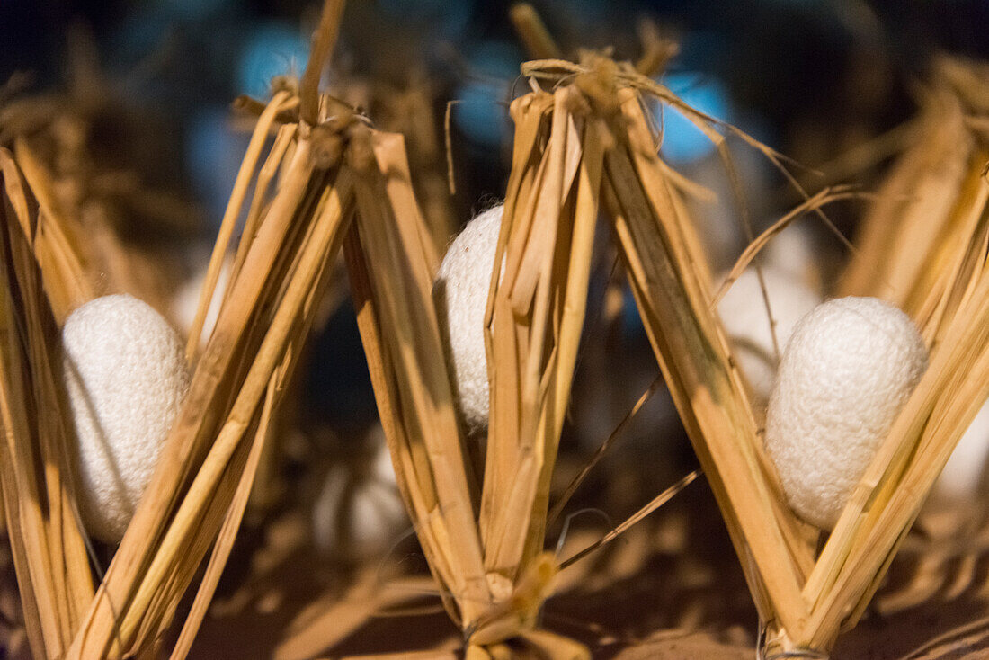 Raising silkworms in the attic of a Gassho-zukuri house, Ainokura Village, Gokayama, Toyama Prefecture, Japan