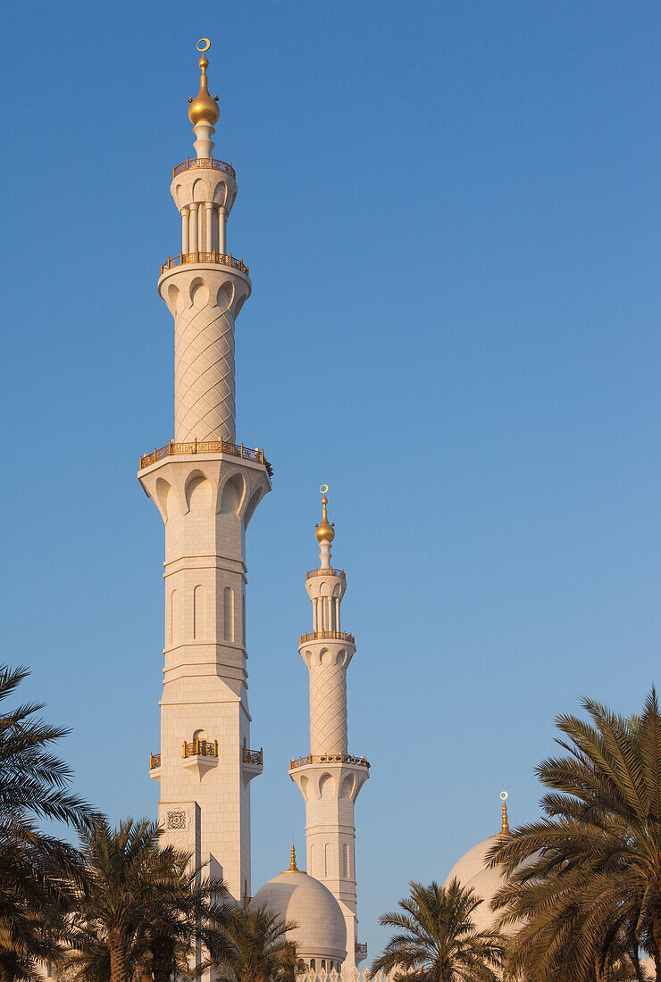 UAE, Abu Dhabi. Sheikh Zayed bin Sultan Mosque