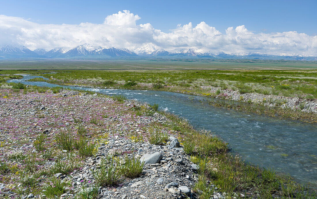 Peak Pik Lenin or Kullai abu-ali ibn Sino and Pik Dserschinski. Alay Valley in front of the Trans-Alay Range in the Pamir Mountains. Central Asia, Kyrgyzstan