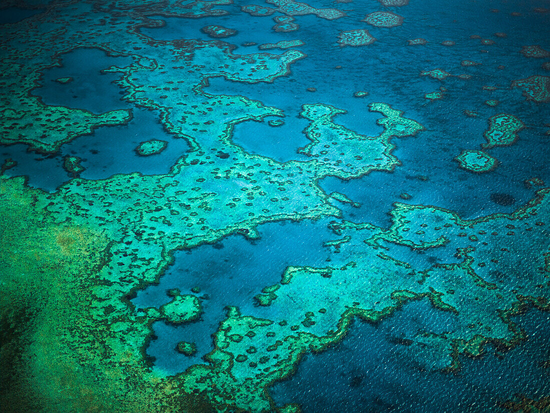 Great Barrier Reef, Queensland, Australia