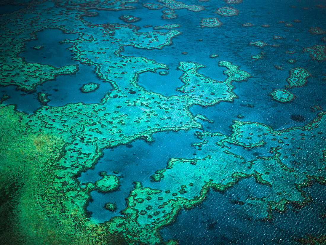 Great Barrier Reef, Queensland, Australien