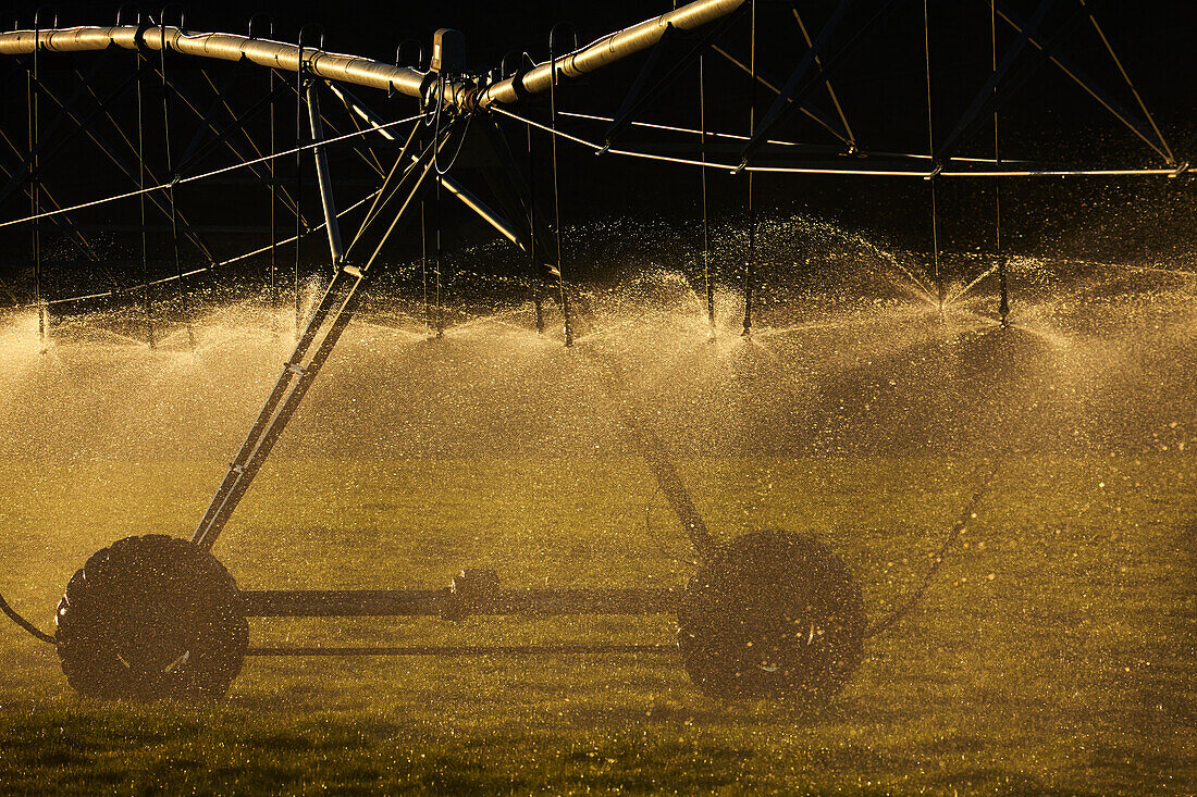 Pivot-Bewässerung, bei Twizel, Mackenzie District, Süd-Canterbury, Südinsel, Neuseeland