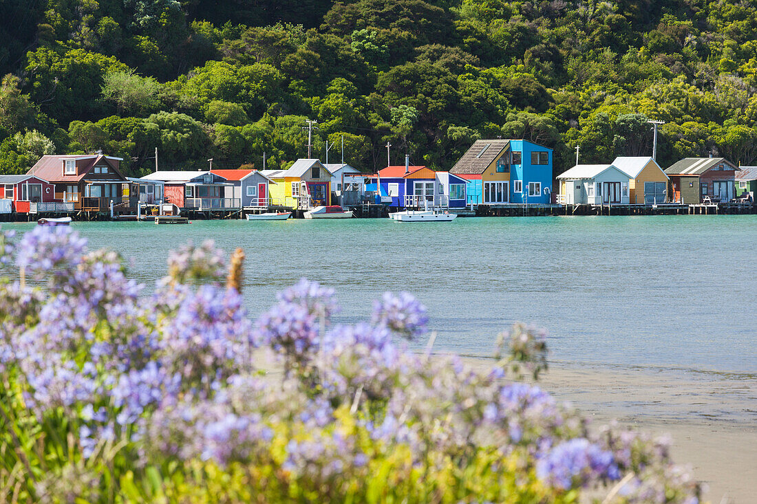 New Zealand, North Island, Paremata. Houses along Porirua Harbor