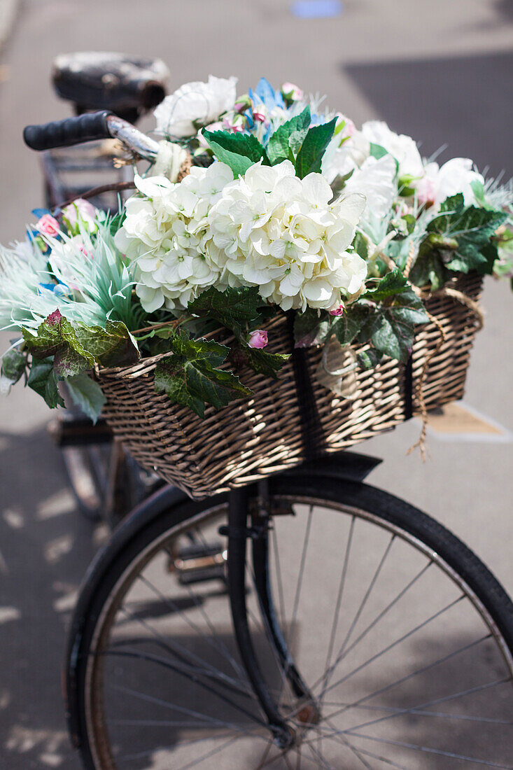 New Zealand, North Island, Martinborough. Bicycle with flowers