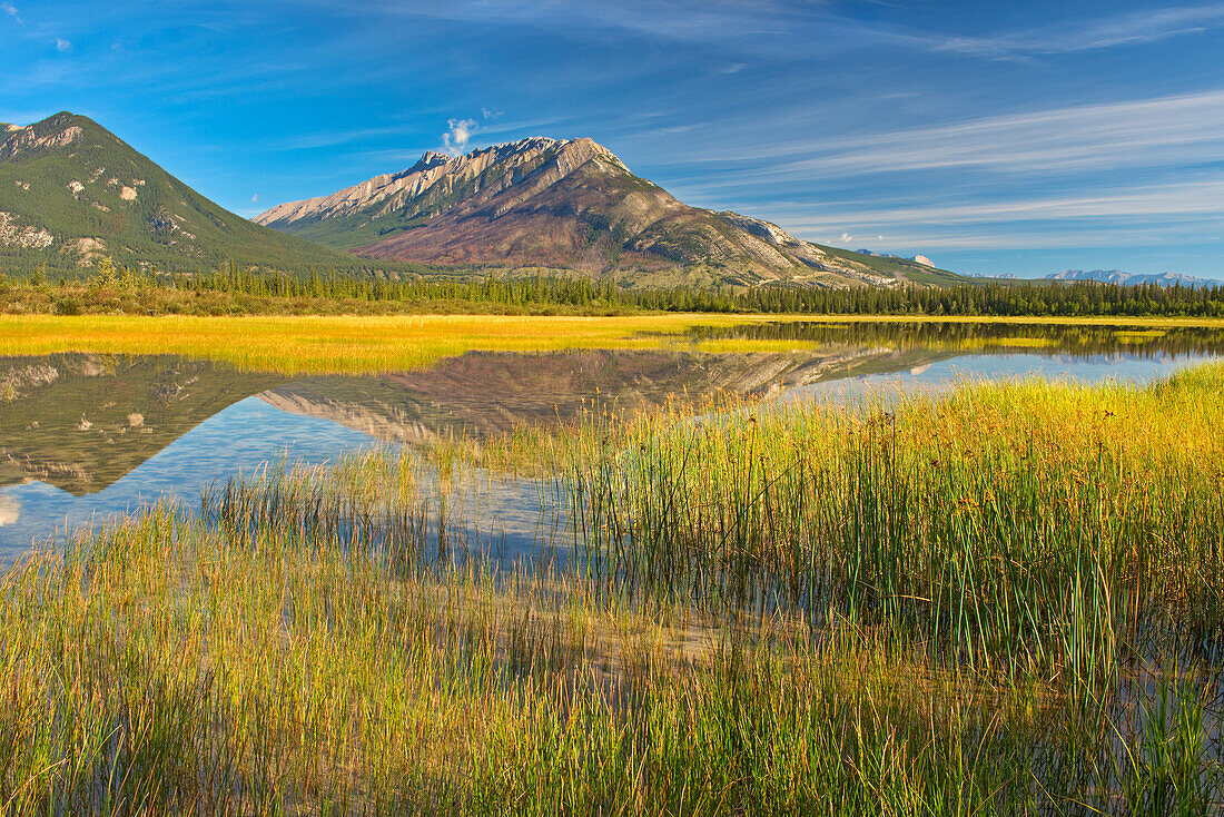 Canada, Alberta, Jasper National Park. Reflections in Jasper Lake