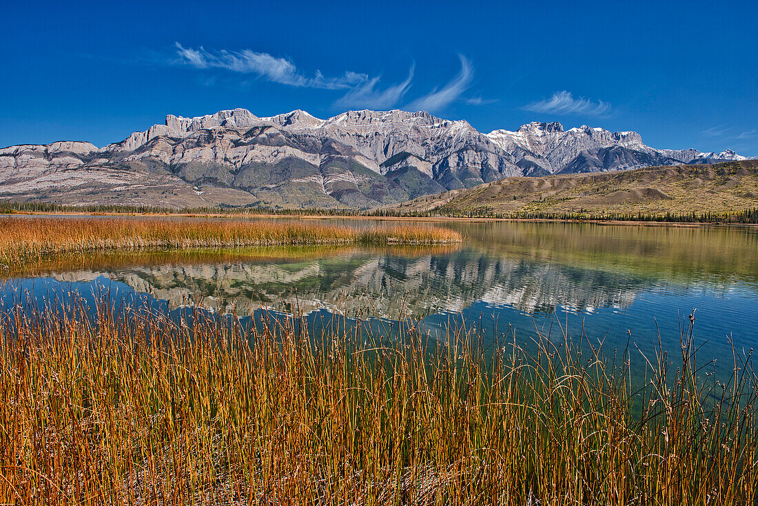 Canada, Alberta, Jasper National Park. Reflections in Talbot Lake