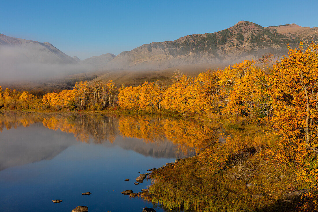 Autumn color reflects into Maskinonge Lake in Waterton Lakes National Park, Alberta, Canada