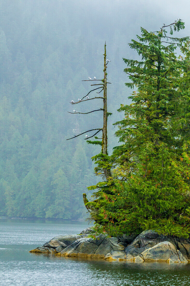 Canada, British Columbia. Inside Passage scenic