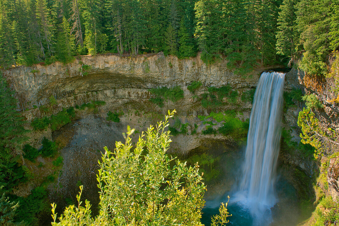 Canada, British Columbia, Brandywine Falls Provincial Park, Waterfall off cliff into pool