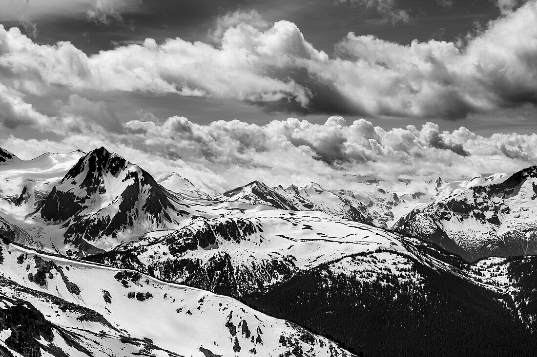 Kanada, Britisch-Kolumbien, Whistler. Schwarzweißaufnahme der Fitzsimmons Range im Garibaldi Provincial Park