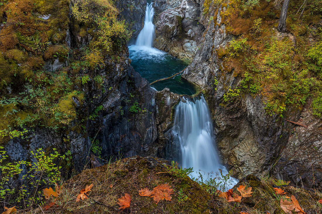 Little Qualicum Falls Provincial Park in der Nähe von Parksville, Britisch-Kolumbien, Kanada