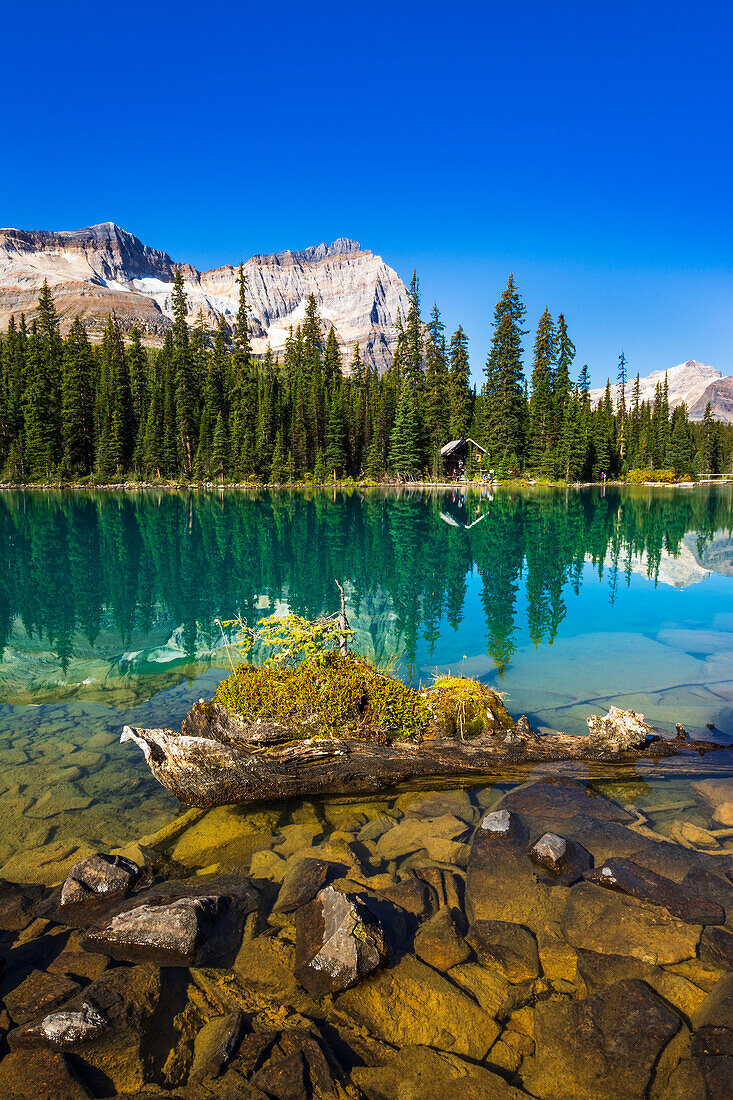 Mount Odaray above Lake O'hara, Yoho National Park, British Columbia, Canada