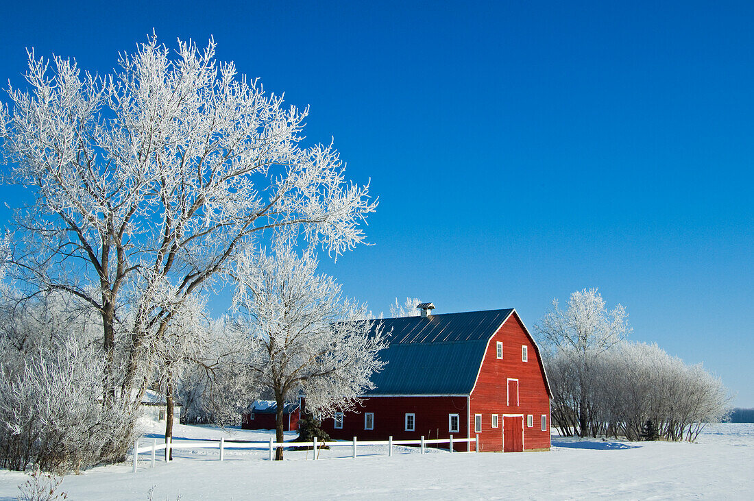 Kanada, Manitoba, Grande Pointe. Raureif und rote Scheune im Winter