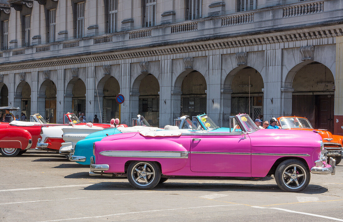 Havana, Cuba. Colorful classic 1950's cars on display near Capital for rent by tourists