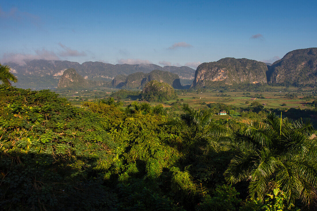 Kuba. Pinar del Rio. Vinales. Das Vinales-Tal am frühen Morgen.