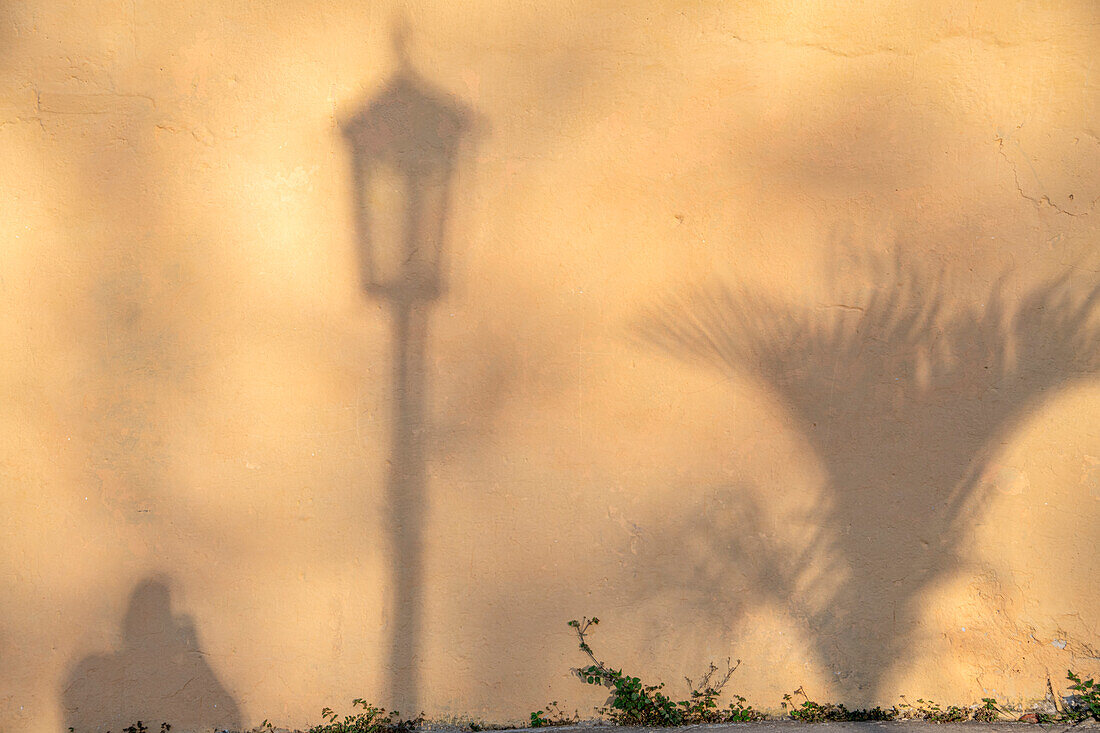 Frühmorgendlicher Schatten eines Mannes, eines Laternenpfahls und einer Pflanze an einer Hauswand in Trinidad, Kuba.