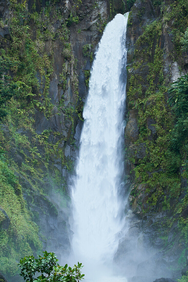 Karibik, Westindien, Insel Dominica. Eine der beliebtesten Naturattraktionen Dominicas. Der linke Wasserfall (im Bild) fällt 125 Fuß und der rechte 75 Fuß tief.