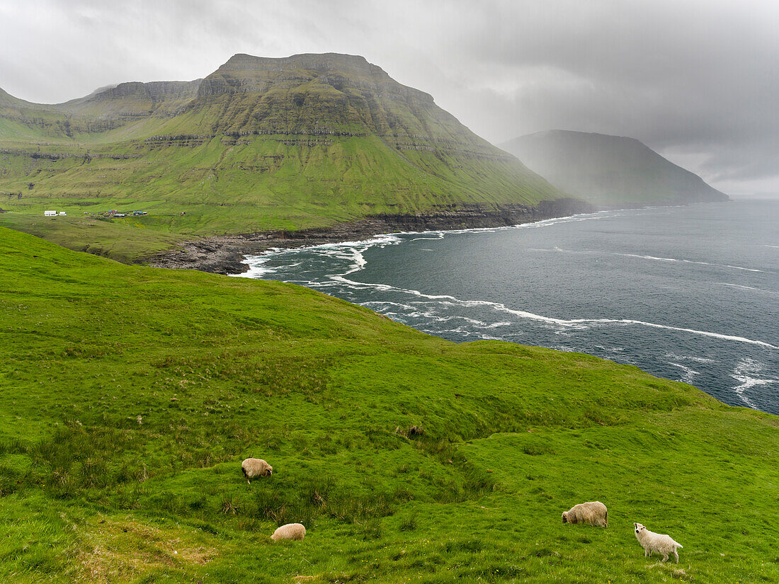 Die Westküste am Nordradalur. Dänemark, Färöer Inseln