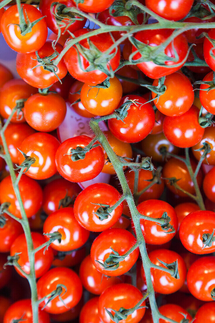 Dänemark, Seeland, Kopenhagen, Torvehallerne KPH, neuer Lebensmittelmarkt im Freien, Tomaten