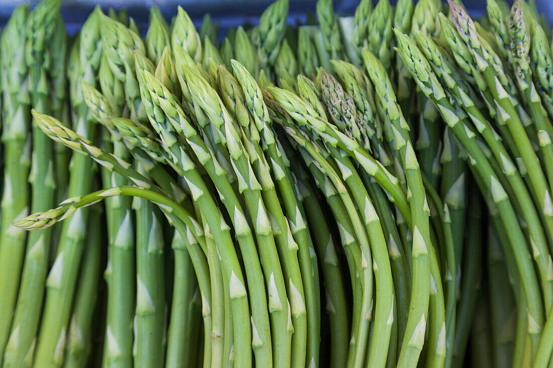 Denmark, Zealand, Copenhagen, Torvehallerne KPH, new outdoor food market, asparagus