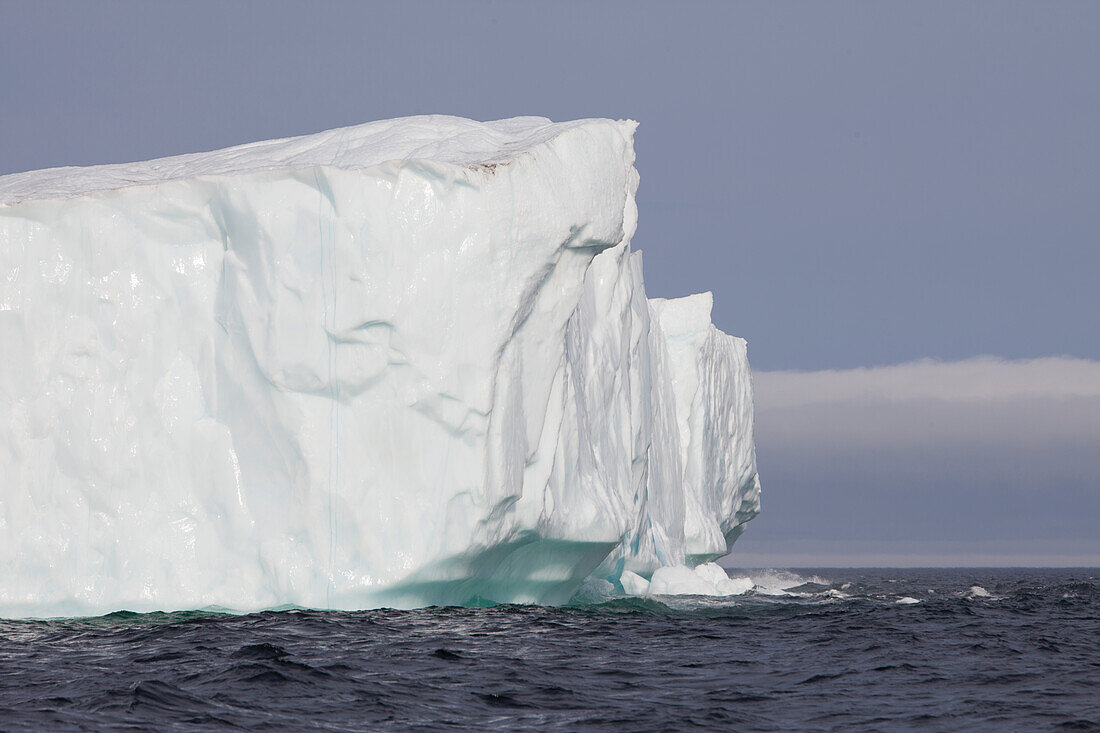 Eisberge, Kings Cove, Neufundland, Kanada