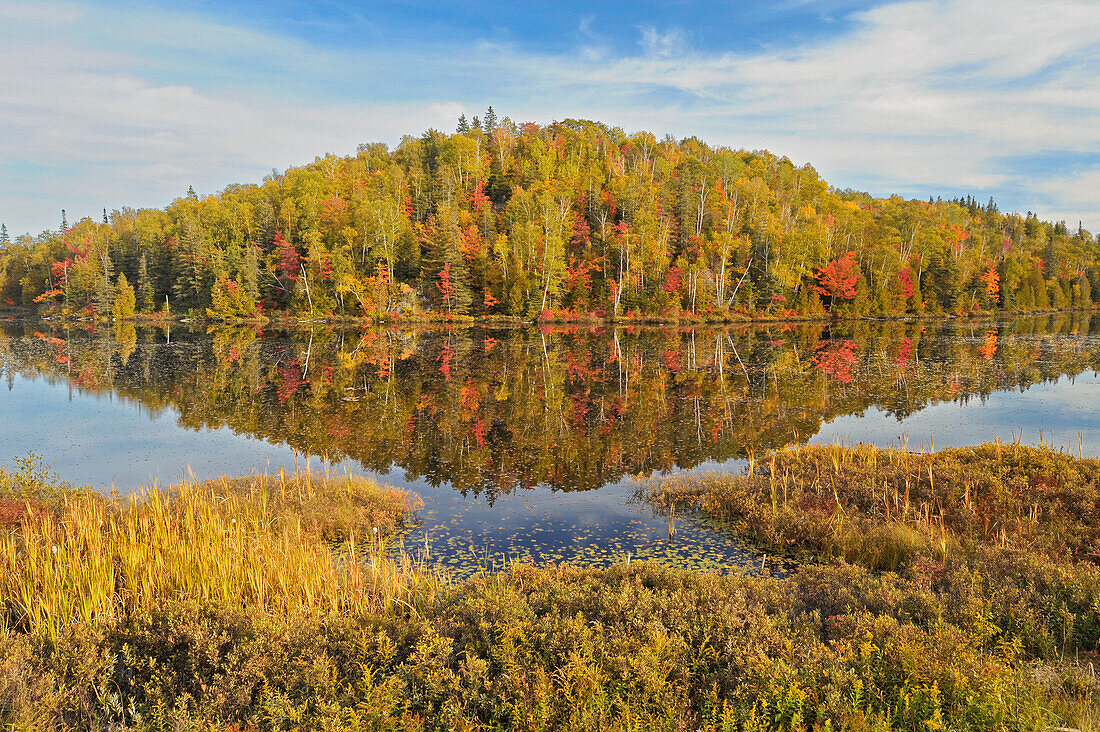 Canada, Ontario, Goulais River. Forest reflection in lake