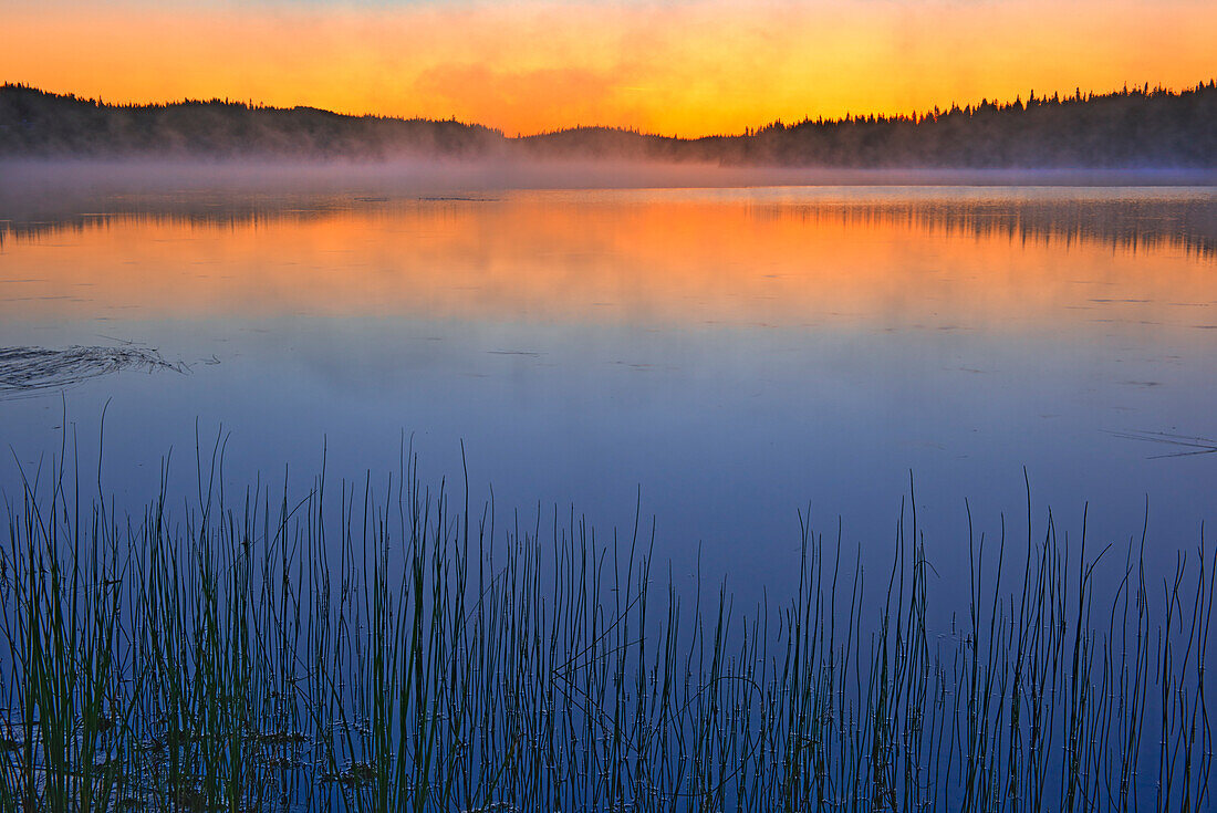 Kanada, Quebec, Chibougamau. Nebel über dem Lac Sauvage in der Morgendämmerung