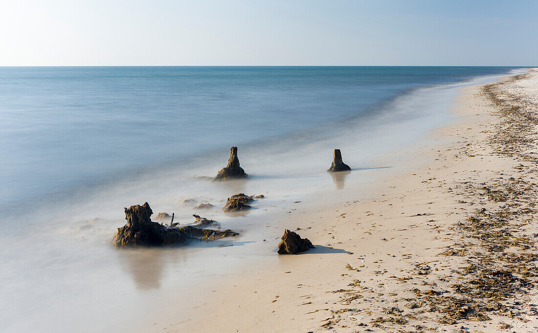 Der Weststrand auf der Halbinsel Darß. Der Strand und der Küstenwald werden durch Stürme erodiert. Vorpommersches Haffgebiet