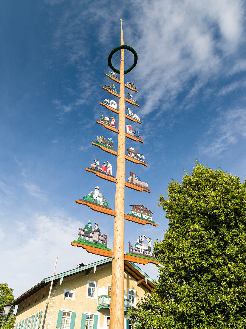 Traditional Bavarian maypole (Maibaum). Village Sachrang in the Chiemgau in the Bavarian alps. Europe, Germany, Bavaria