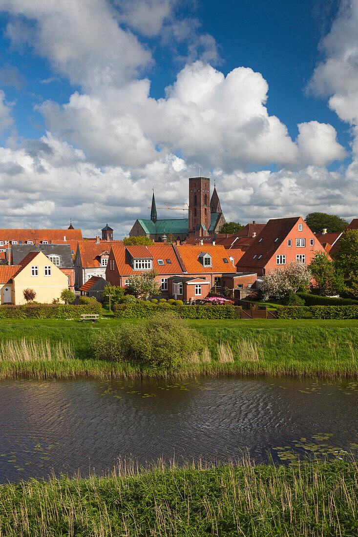 Dänemark, Jütland, Ribe, Blick auf die Stadt vom Fluss Ribe aus