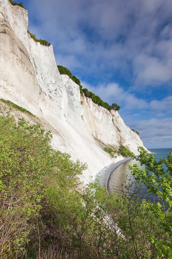 Dänemark, Mon, Mons Klimt, 130 Meter hohe Kreideklippen vom Ufer aus