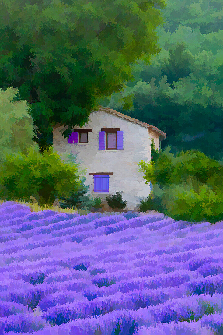 Europa, Frankreich, Provence. Abstrakte Darstellung eines Bauernhauses und eines Lavendelfeldes.