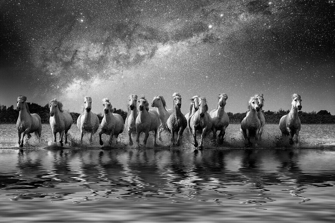 Europa, Frankreich, Provence, Camargue. Komposition aus Milchstraße und Pferden, die durch Wasser laufen.
