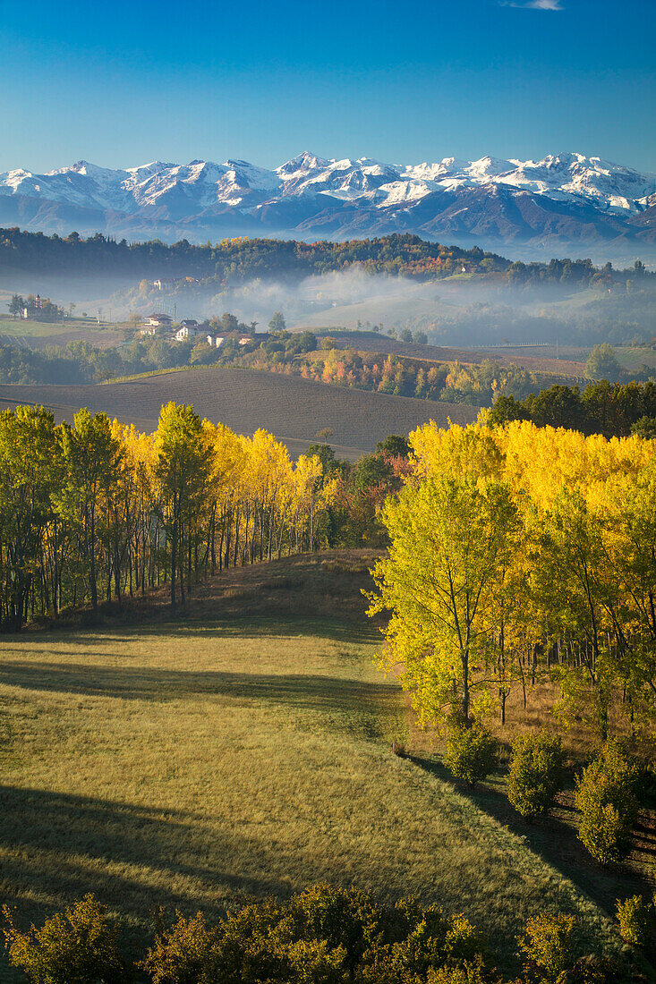 Autumn view across the Po Valley to the Ligurian Alps near Monforte d'Alba, Piemonte, Italy