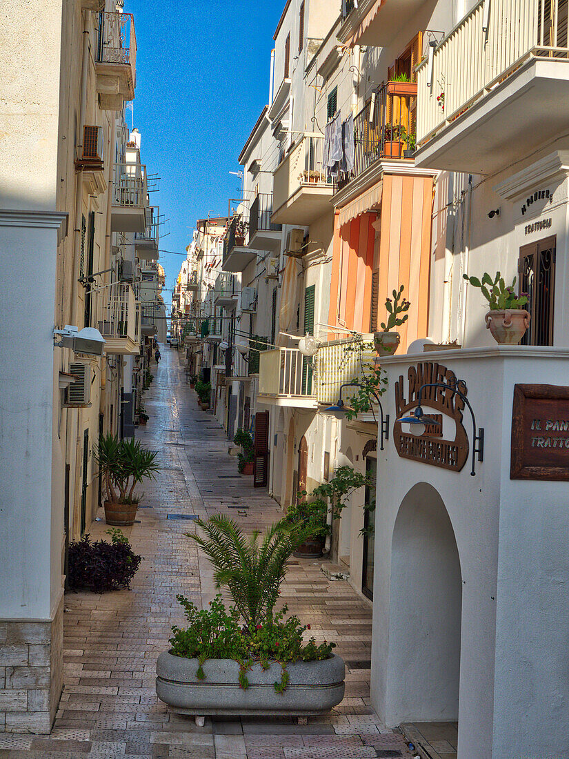 Italien, Apulien, Foggia, Vieste. Eine malerische Gasse in der Altstadt von Vieste.